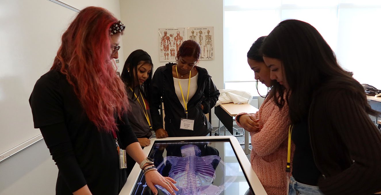 HCOP participants and mentors look at an image on an anatomage table