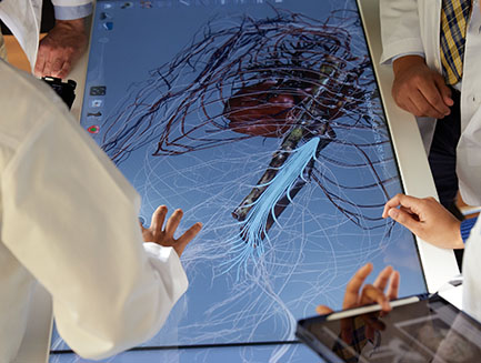 medical students looking at the display image on an anatomage table