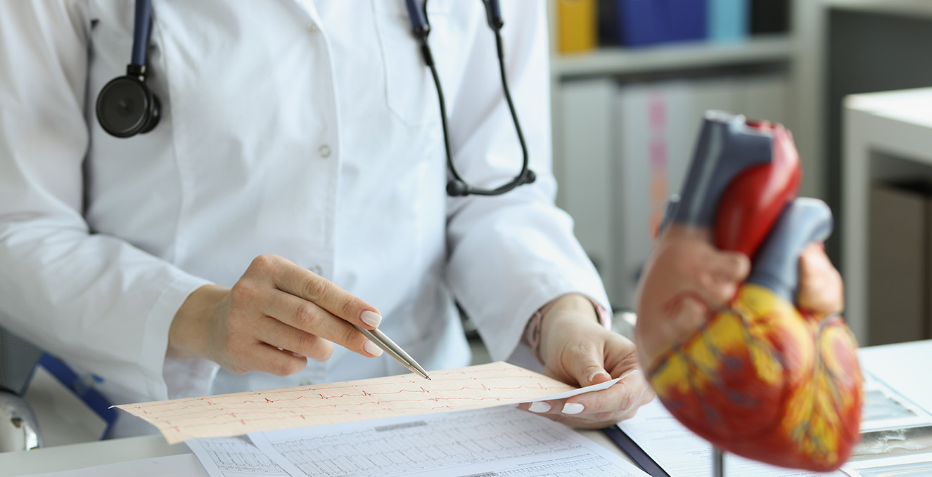 a health care professional looks at ECG results with a heart model on the table