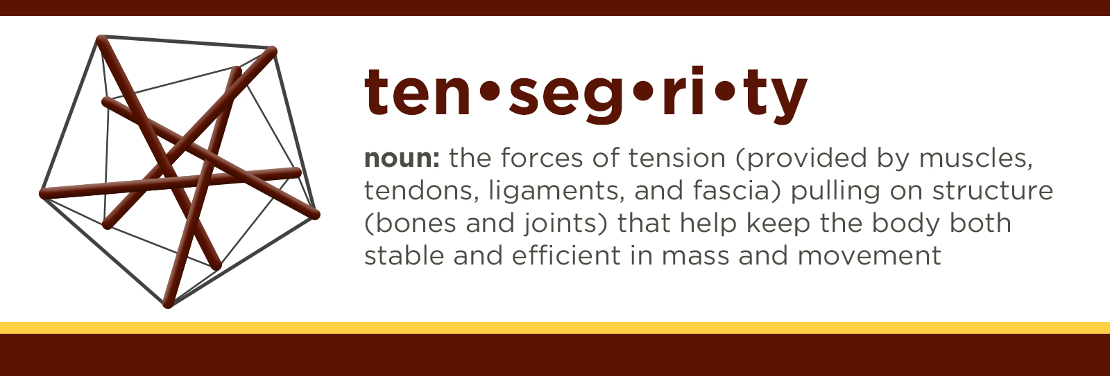 tensegrity - noun: the forces of tension (provided by muscles, tendons, ligaments, and fascia) pulling on structure (bones and joints) that help keep the body both stable and efficient in mass and movement