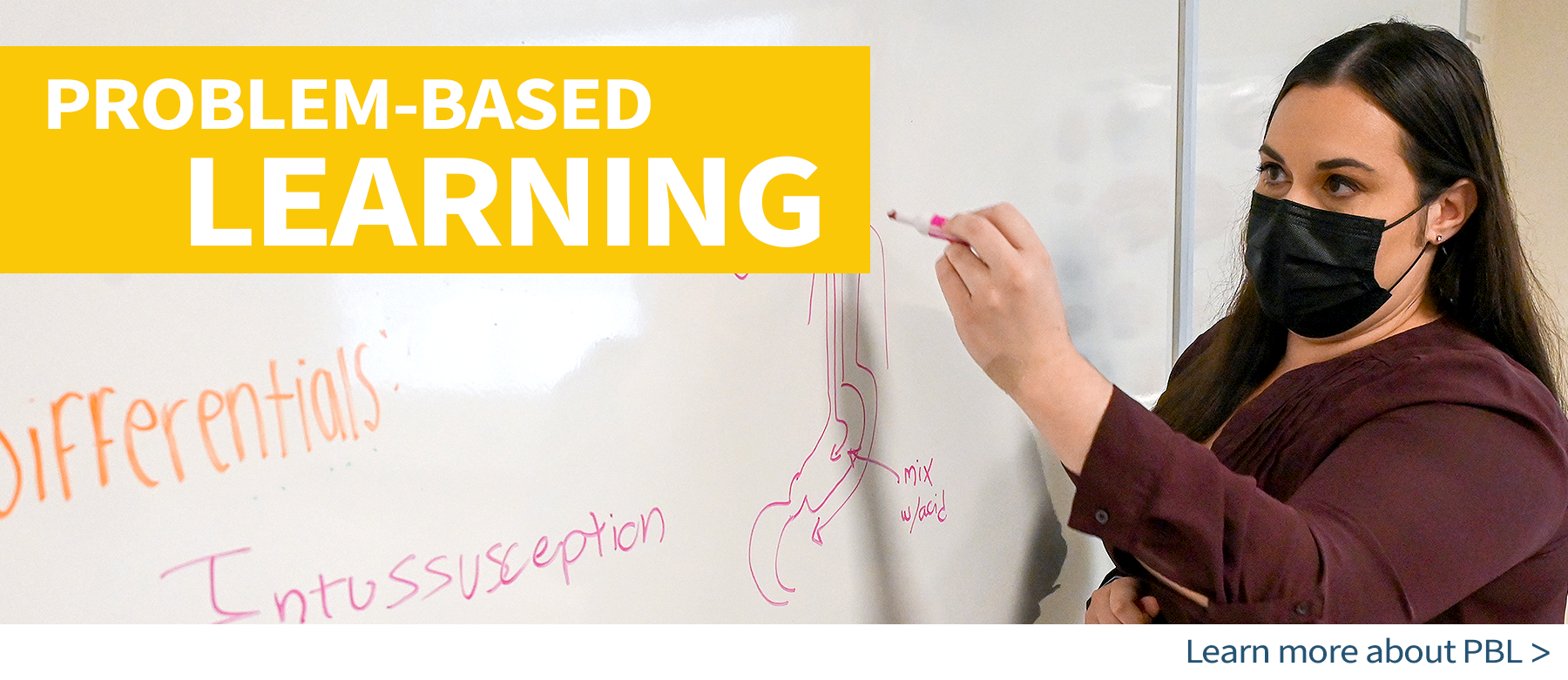 What is problem-based learning? Click here to learn more