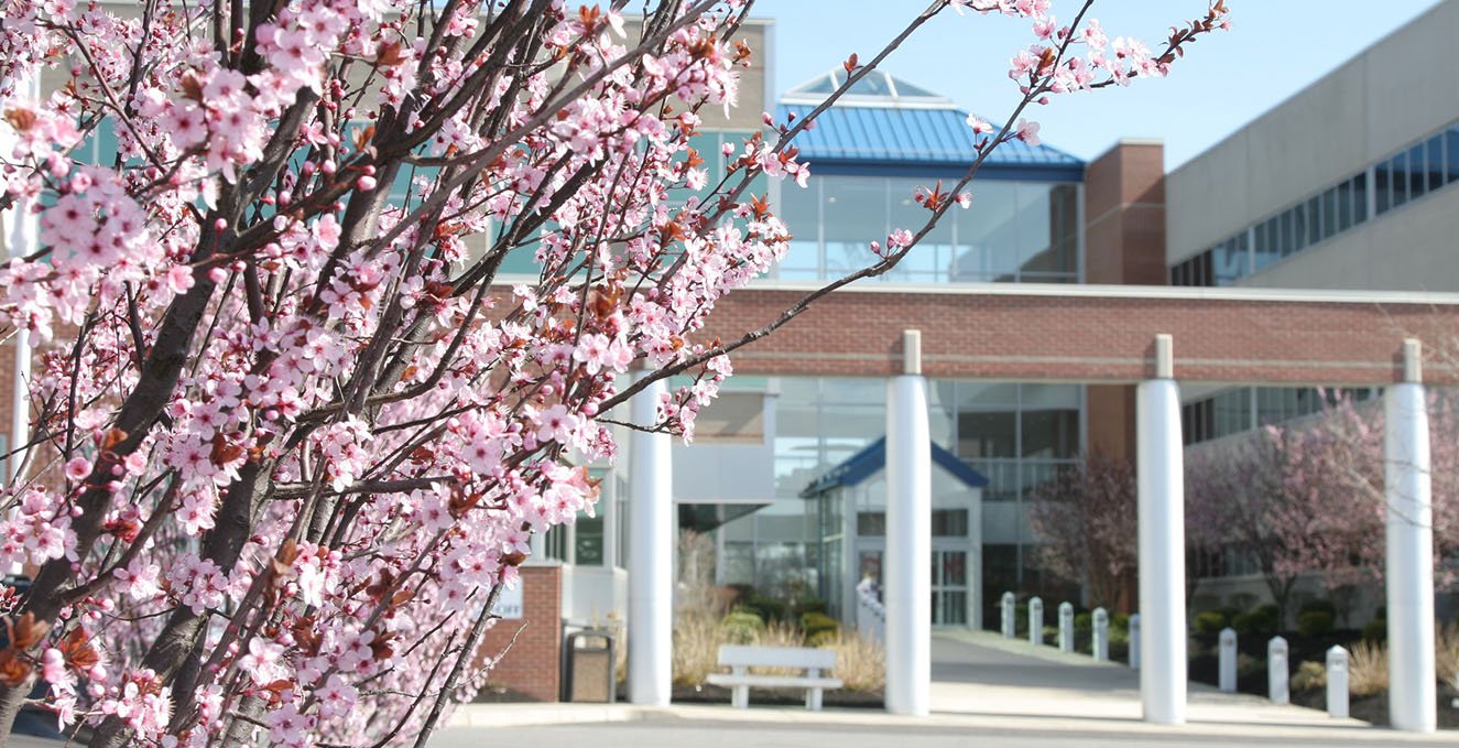 blooming tree in front of the Rowan Medicine building