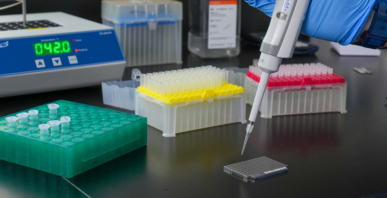 a liquid is prepared using a pipeette, while other tubes sit in trays on a lab table