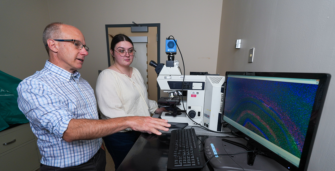 A research faculty member talks to a research student while analyzing data on a computer