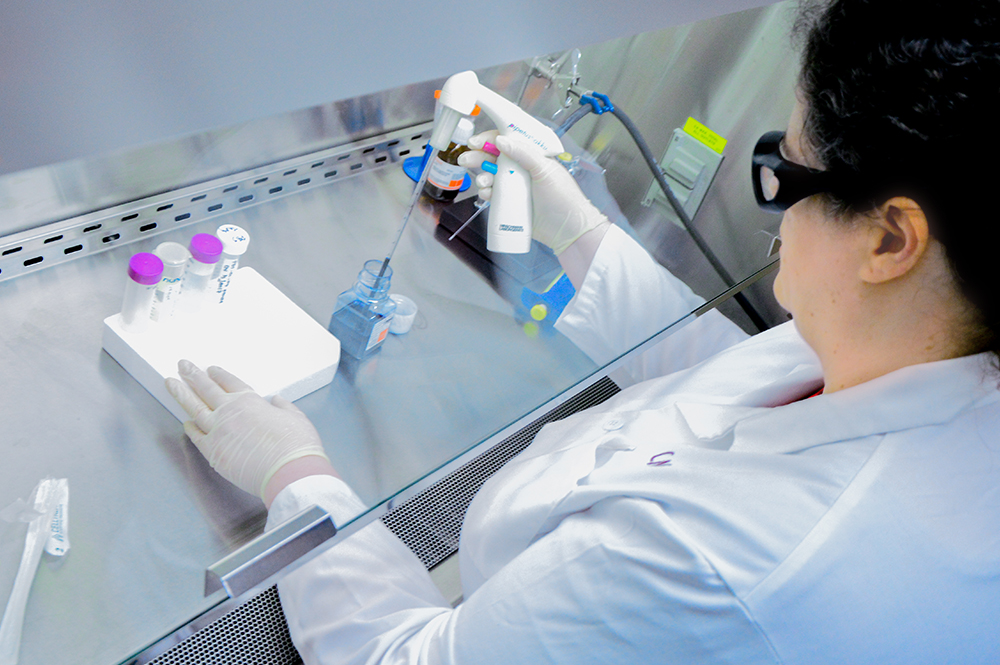 researcher works with materials under a clear hood